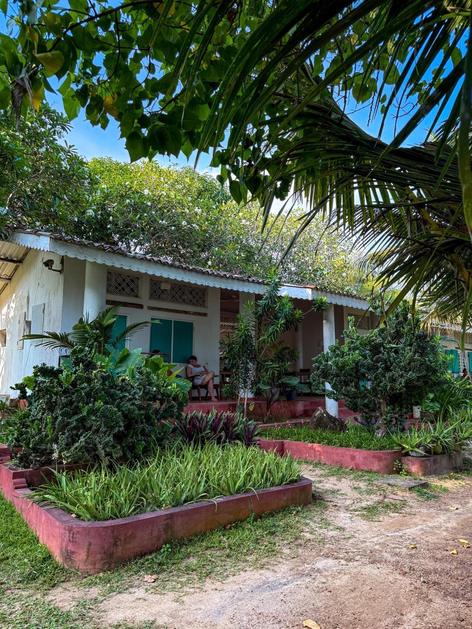 Palm Villa Mirissa Hotel&Spa Exterior foto